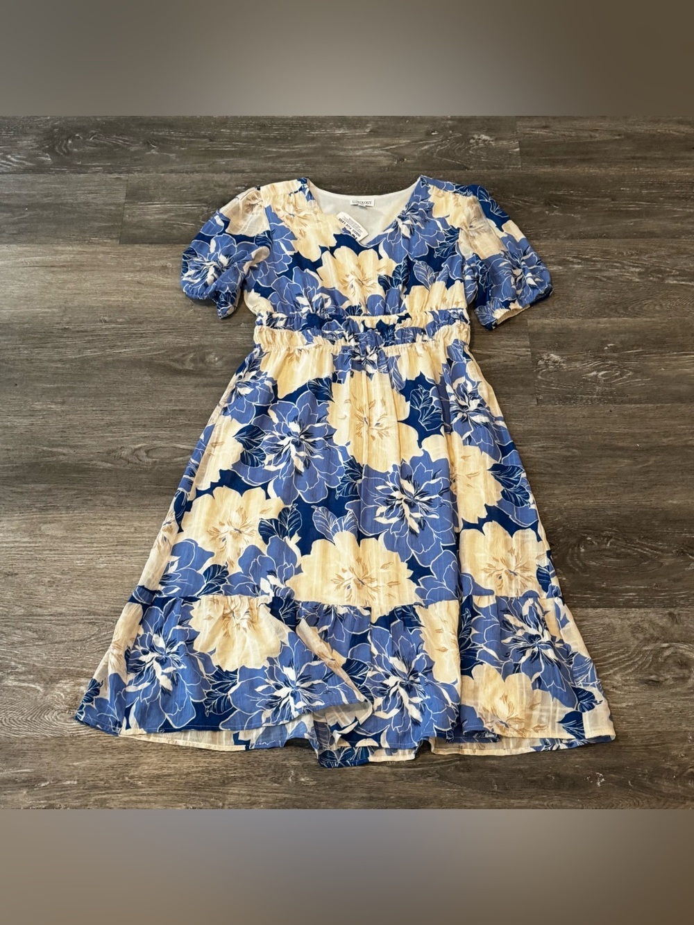 Luxology Blue and Cream Floral Maxi Dress